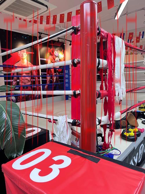 永利新皇冠沙巴体育入口, 体验永利新皇冠沙巴体育带来的无限乐趣与激情