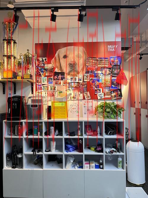 永利新皇冠沙巴体育入口, 体验永利新皇冠沙巴体育带来的无限乐趣与激情